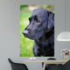 Black Labrador Retriever Wall Decal