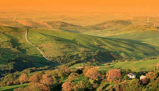 Colline Pugliesi Primavera Wall Decal