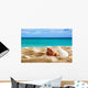 Seashells Beach Wall Decal