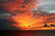 Sunset African Style Wall Decal