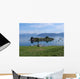 Hardanger Wall Decal