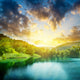 Green Water Lake Forest Wall Decal