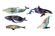 Watercolor Whales Sea Animals Wall Decal