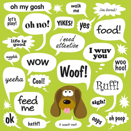 Various Phrases Comic Bubbles Wall Decal
