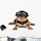 Puppy Terrier Wall Decal