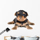 Puppy Terrier Wall Decal