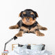 Puppy Terrier Wall Decal
