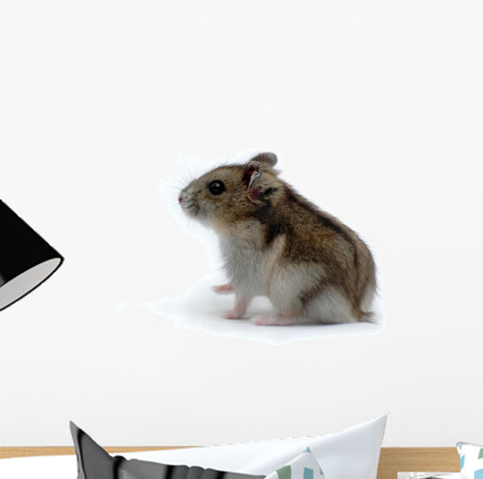 Hamster Wall Decal