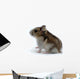 Hamster Wall Decal