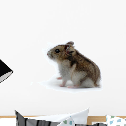 Hamster Wall Decal