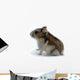 Hamster Wall Decal
