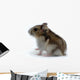 Hamster Wall Decal