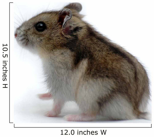 Hamster Wall Decal