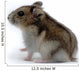 Hamster Wall Decal