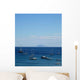 Montecristo Wall Decal