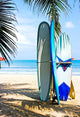 Surf Boards Beach Wall Decal
