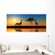 Family Giraffes Wall Decal Panoramic