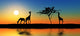Family Giraffes Wall Decal Panoramic