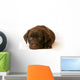 Labrador Wall Decal