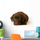 Labrador Wall Decal