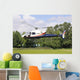 The helicopter Wall Mural