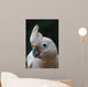 Head of Goffin Cockatoo Wall Mural