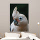 Head of Goffin Cockatoo Wall Mural