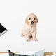 Dog Decals - Golden Retriever Puppy  Wall Decal