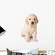 Dog Decals - Golden Retriever Puppy  Wall Decal