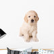 Dog Decals - Golden Retriever Puppy  Wall Decal