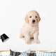 Dog Decals - Golden Retriever Puppy  Wall Decal