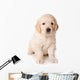 Dog Decals - Golden Retriever Puppy  Wall Decal