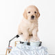 Dog Decals - Golden Retriever Puppy  Wall Decal