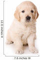 Dog Decals - Golden Retriever Puppy  Wall Decal