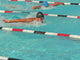 Competitive Swimmer Wall Mural