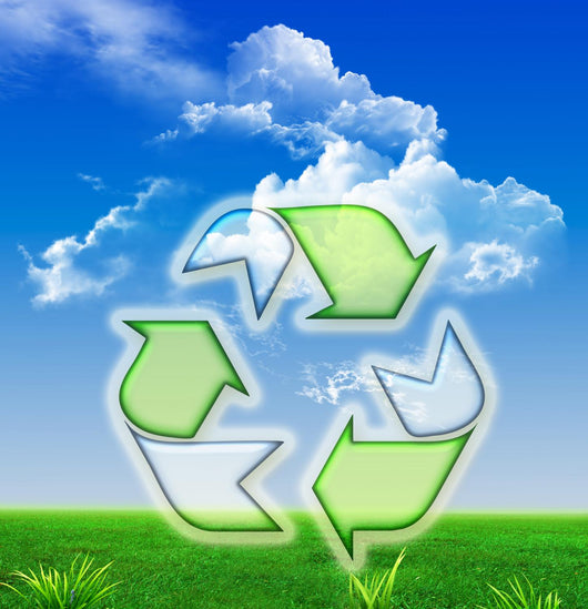 Bio - Recycle Wall Mural