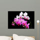 Orchide Wall Mural