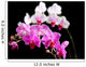 Orchide Wall Mural