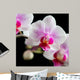Orchide Wall Mural
