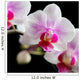 Orchide Wall Mural