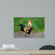 Rooster Wall Mural