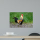Rooster Wall Mural