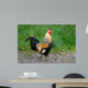 Rooster Wall Mural