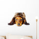 Puppy Dachshund Wall Decal