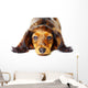 Puppy Dachshund Wall Decal