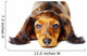 Puppy Dachshund Wall Decal