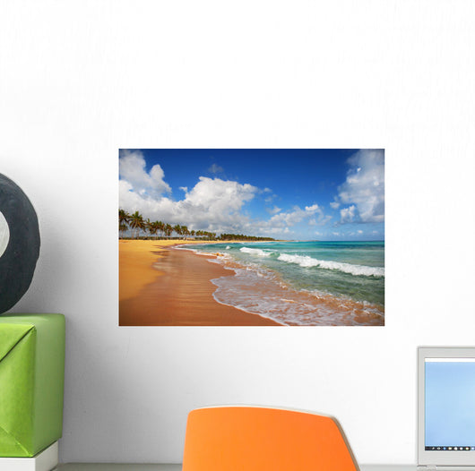 Exotic Beach in Punta cana Wall Mural