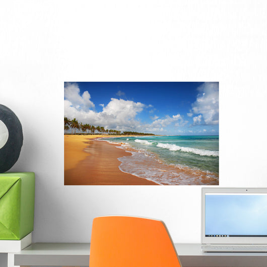Exotic Beach in Punta cana Wall Mural