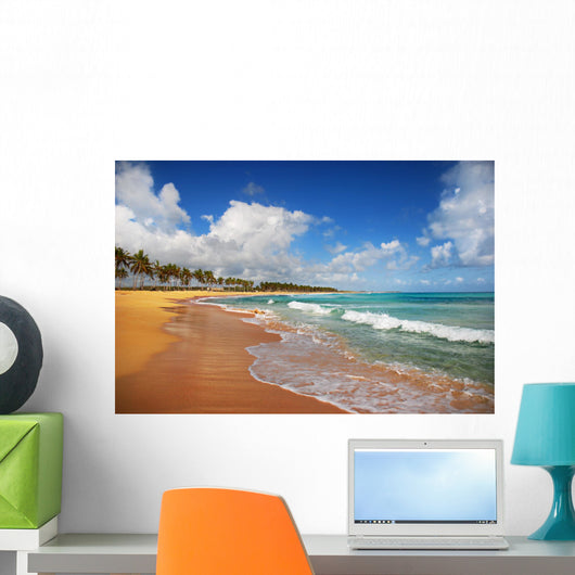 Exotic Beach in Punta cana Wall Mural
