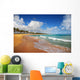 Exotic Beach in Punta cana Wall Mural